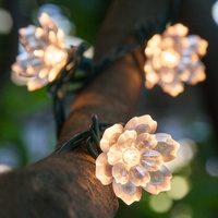 Specialty lights for holiday and events