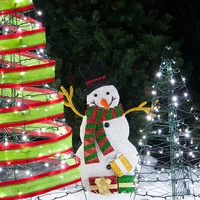 outdoor-christmas-trees.jpg