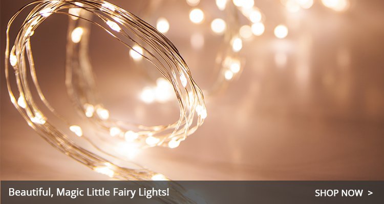 Christmas fairy lights