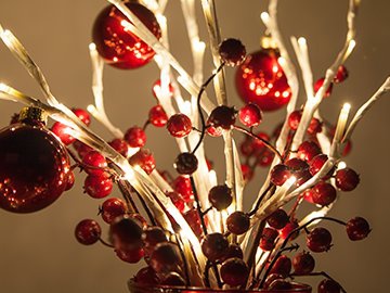 Lighted Christmas Branches