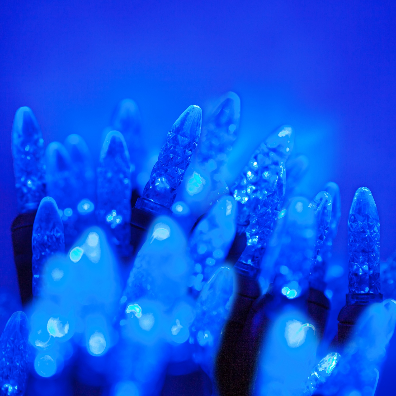 led christmas lights 70 m5 blue led christmas lights 4 led christmas lights 70 m5 blue led christmas lights 4