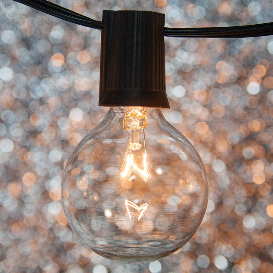 Patio Lights - Clear Globe String Lights, 33 G50 E17 Bulbs Black Wire