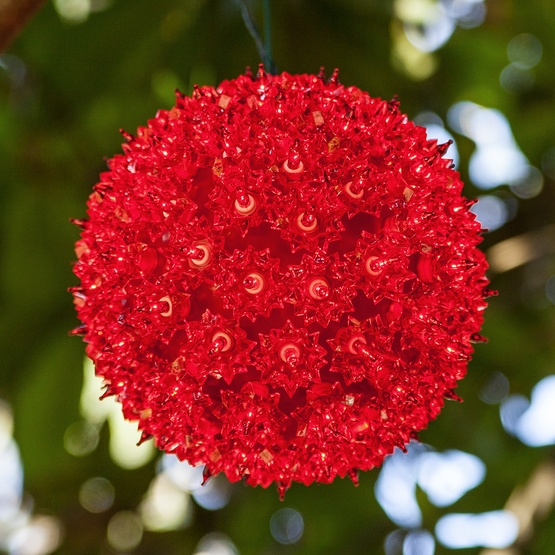 red starlight sphere red starlight sphere