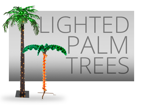 Lighted Palm Trees