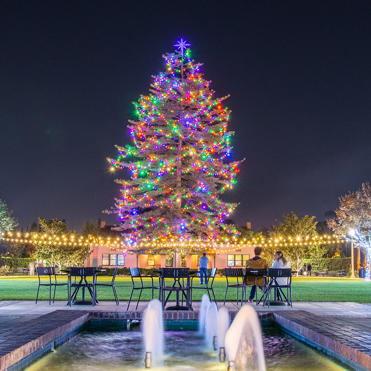 Christmas Light Installation