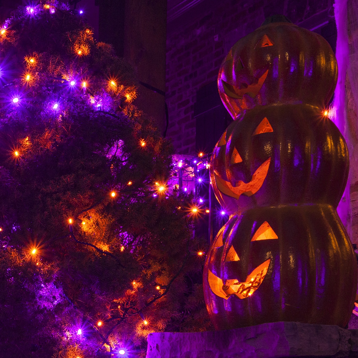 Decorating with on sale halloween lights