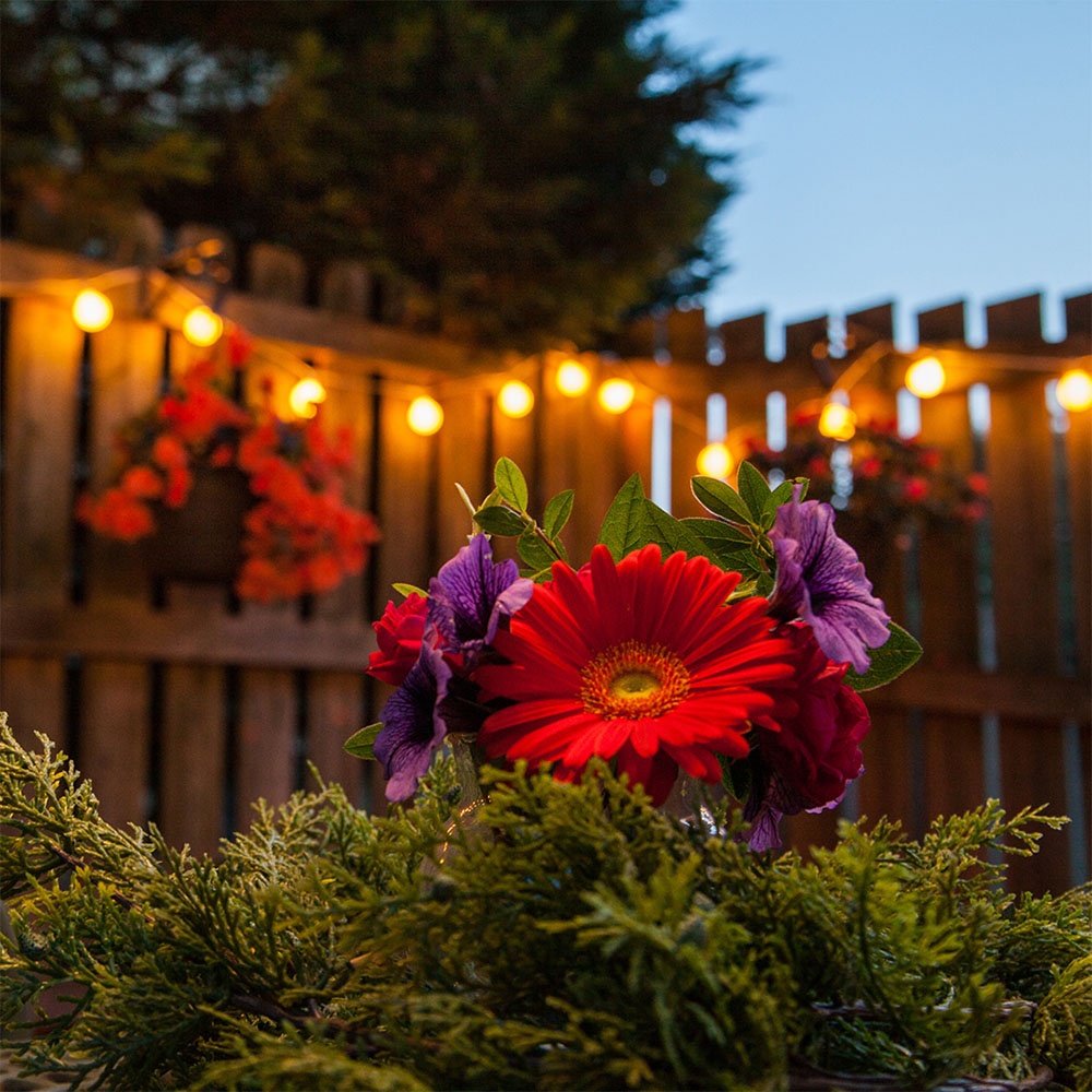 Outdoor fence deals string lights