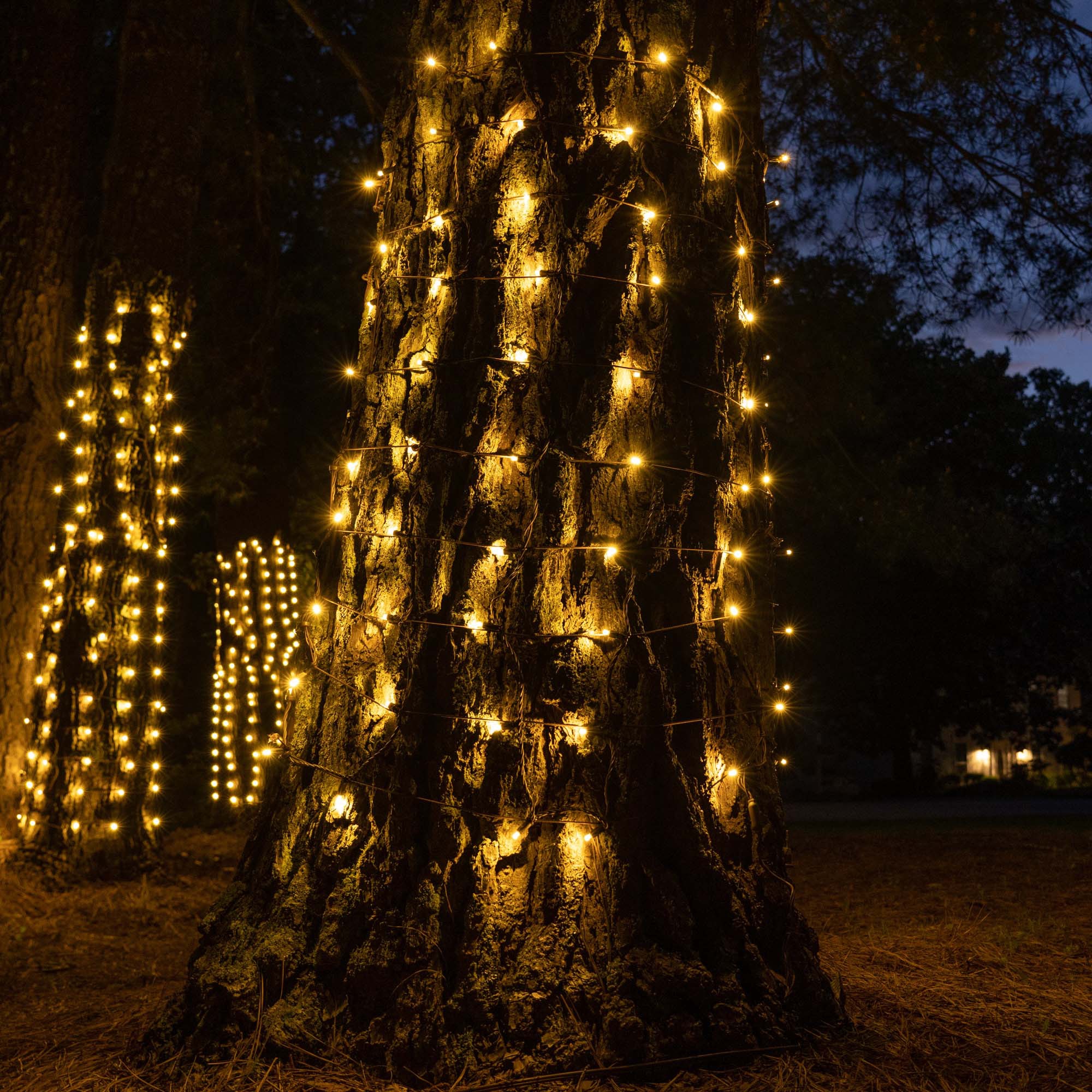 Tree Trunk Wrap and Column Wrap With Incandescent Lights