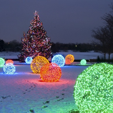 Outdoor christmas tree made deals of lights