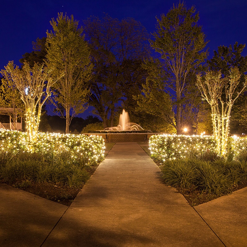 Festive String Lighting Services  Professional String Light Installation