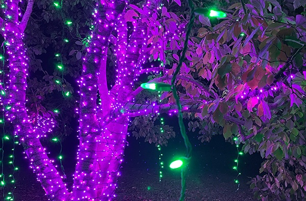 Green and Purple LED Halloween Tree
