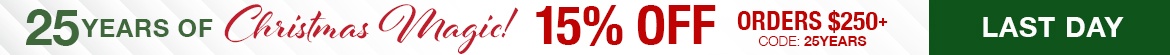 25 Anniversary Sale Promo