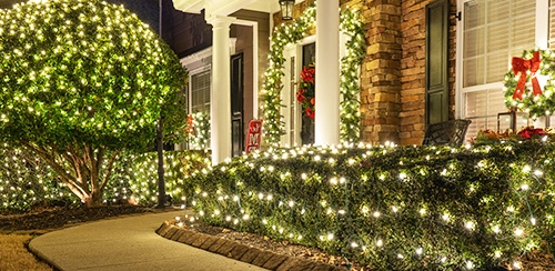 Net Lights For Christmas