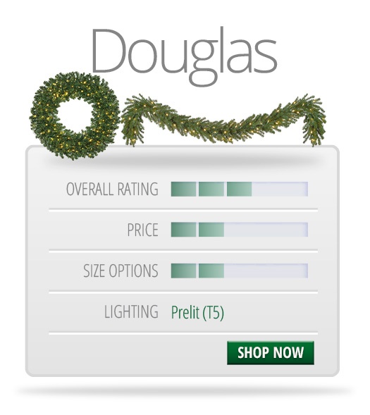 Douglas Christmas Wreaths & Garland