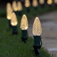 Pathway Lights