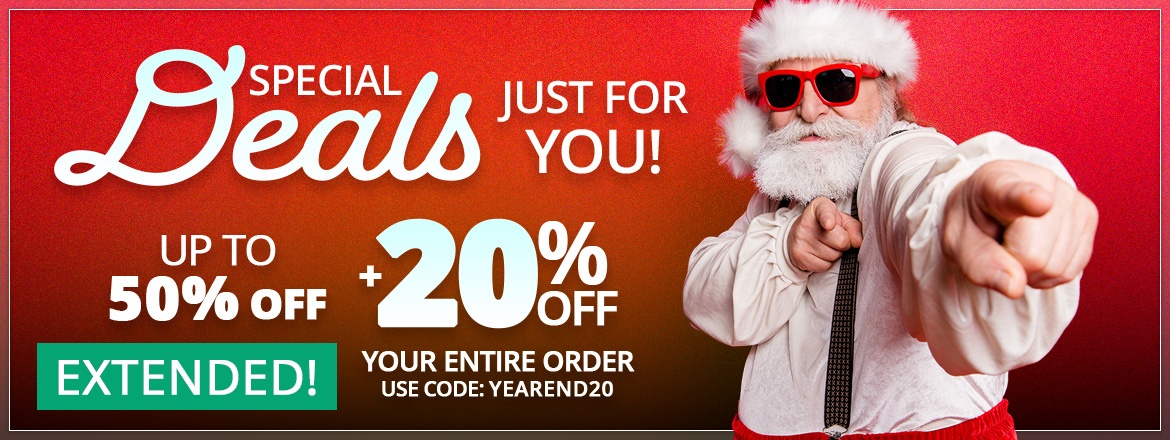 Year End Christmas Lights Sale