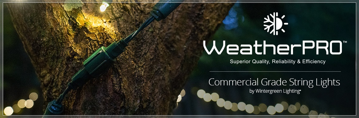 Watertight Commercial LED Christmas Lights