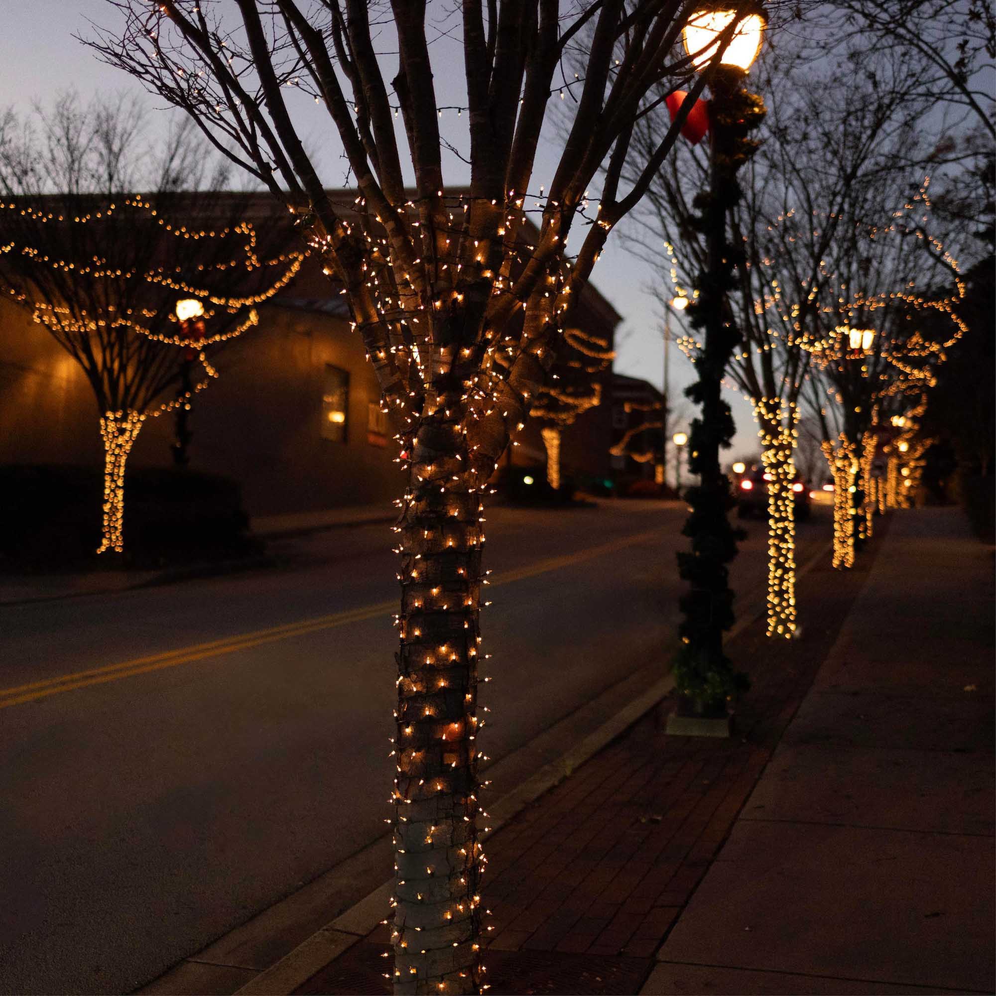 Incandescent Mini Christmas Lights