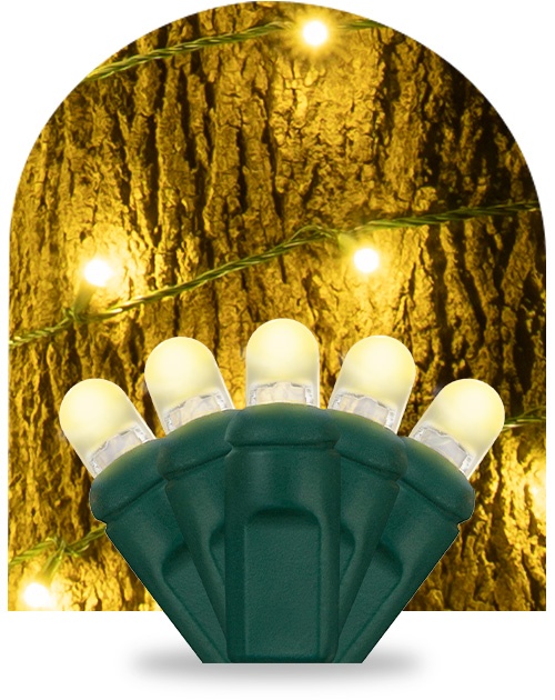 Lux360 Radiant Coverage