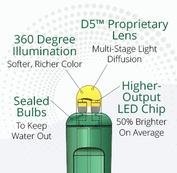 D5 Lens