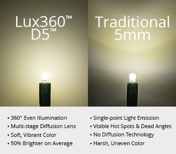 Comparison D5 vs 5MM