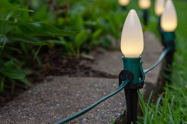 life-light-stake-wintergreen-lighting-25ct-02.jpg