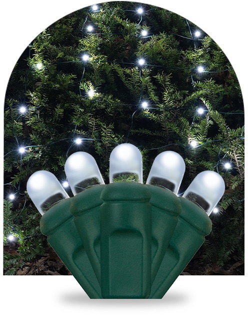lux360 illumination
