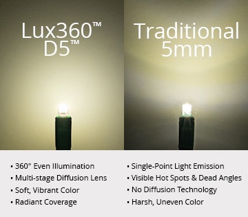 Comparison D5 vs 5MM