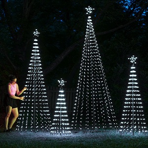 cool to that touch lightshow trees