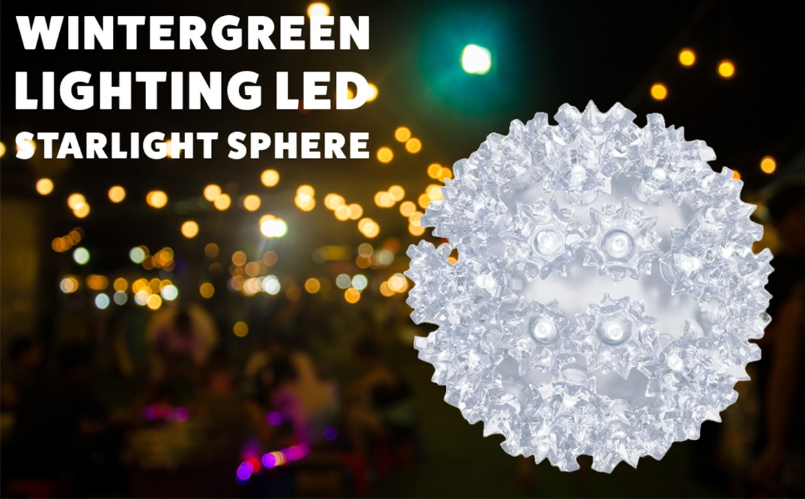 Wintergreen Lighting LED Starlight Sphere