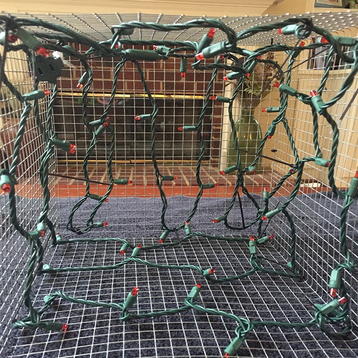 Secure led light strings to the inside of your chicken wire present frame