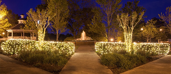Net Lights Installation Guide