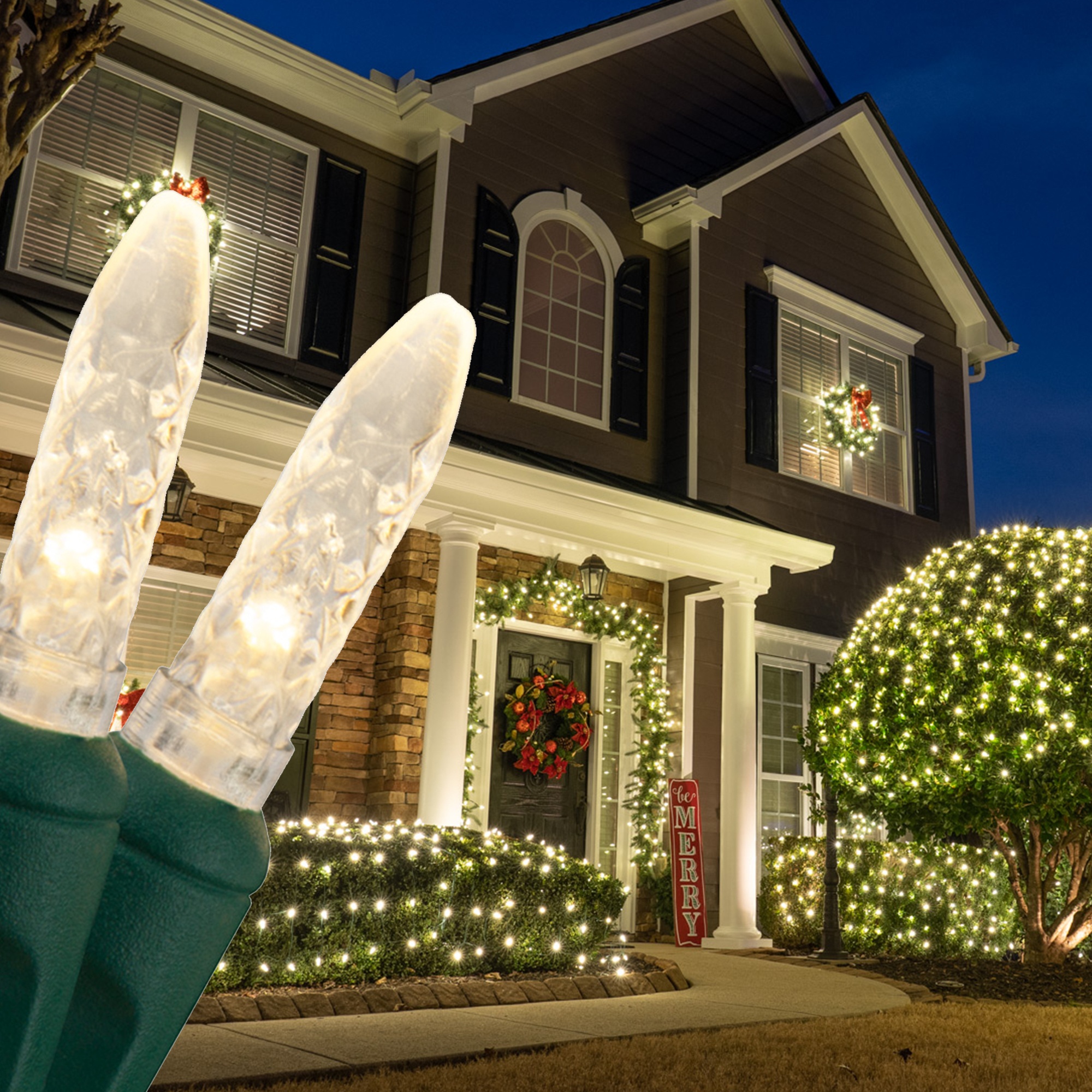 LED Net Lights - M5 4'x6' Warm White LED Net Lights, Green Wire