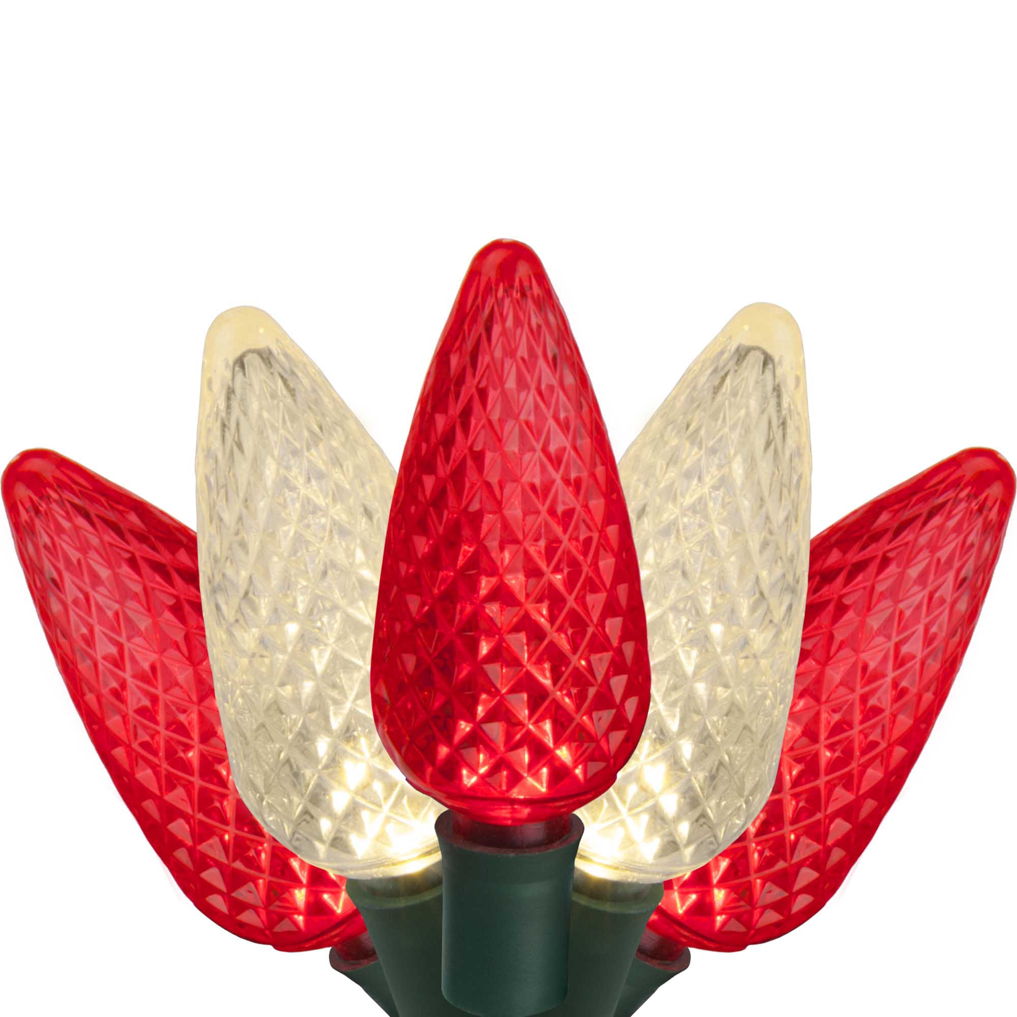 C9 Red, Warm White LED Christmas Lights