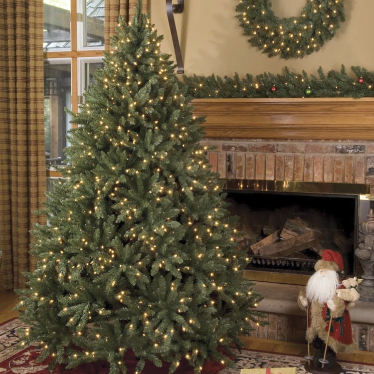 Douglas Fir Unlit Tree - Christmas Lights, Etc - Douglas Fir Unlit Tree - Christmas Lights, Etc