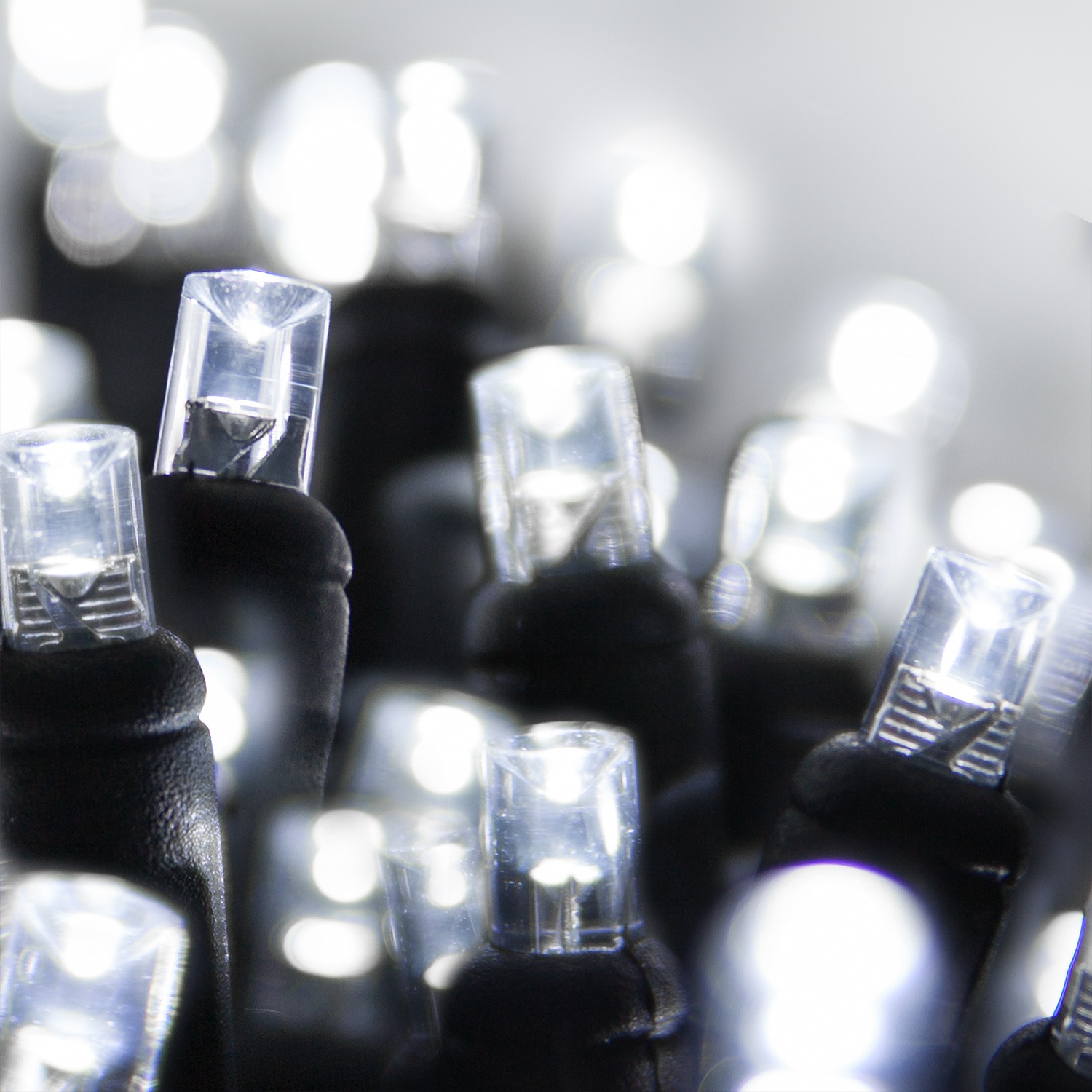 Wide Angle 5MM LED Lights 70 5mm Cool White LED Christmas Lights, 4" Spacing, Black Wire