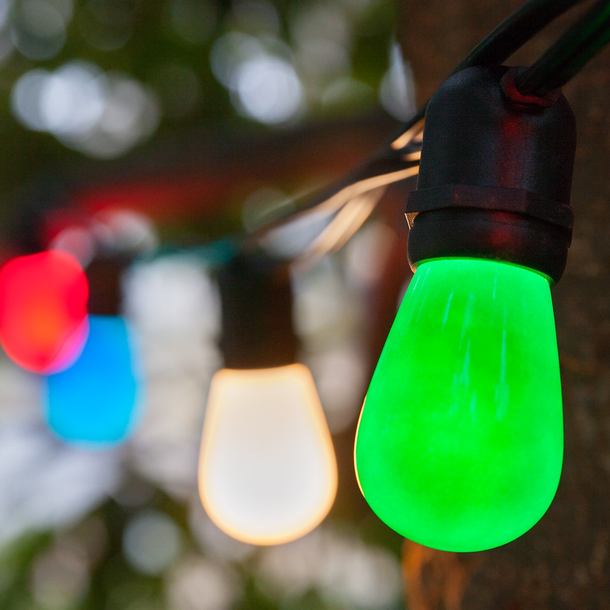 multicolor party lights