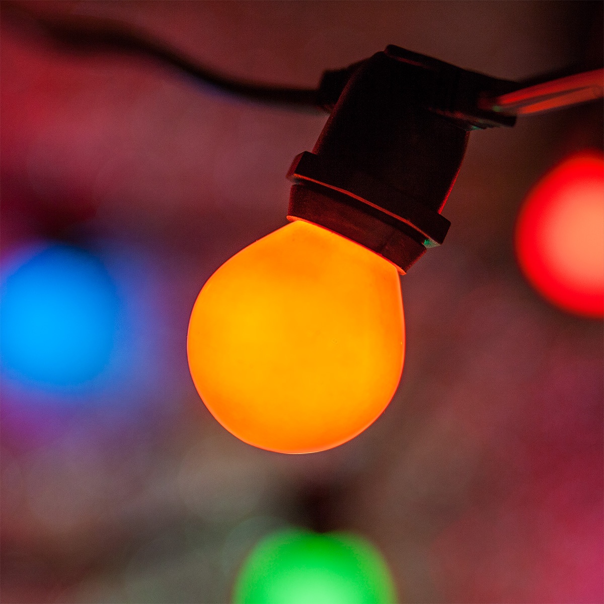 multicolor party lights