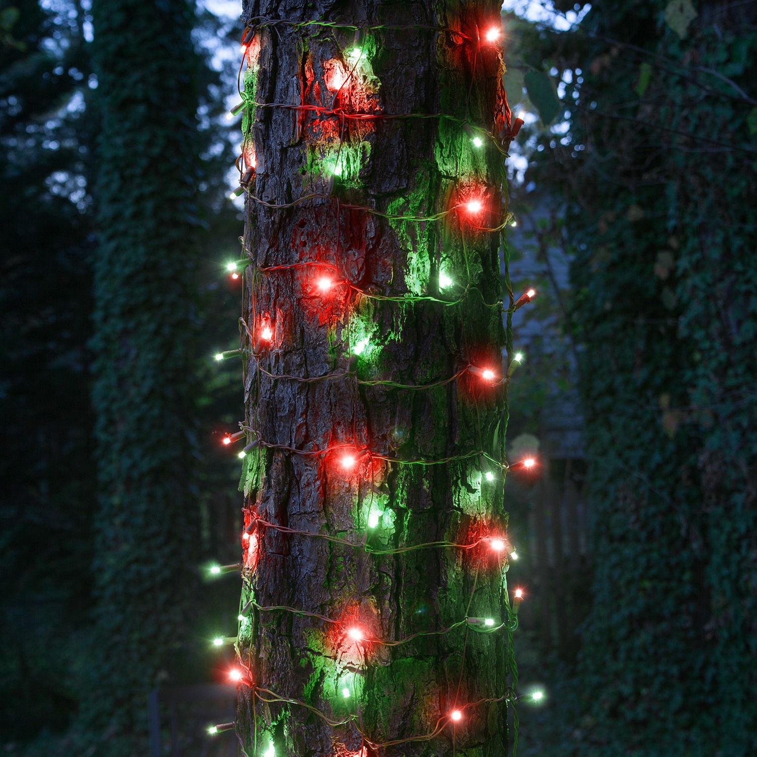 LED Net Lights 5mm 20" x 45" Red, Green LED Pro TM Trunk