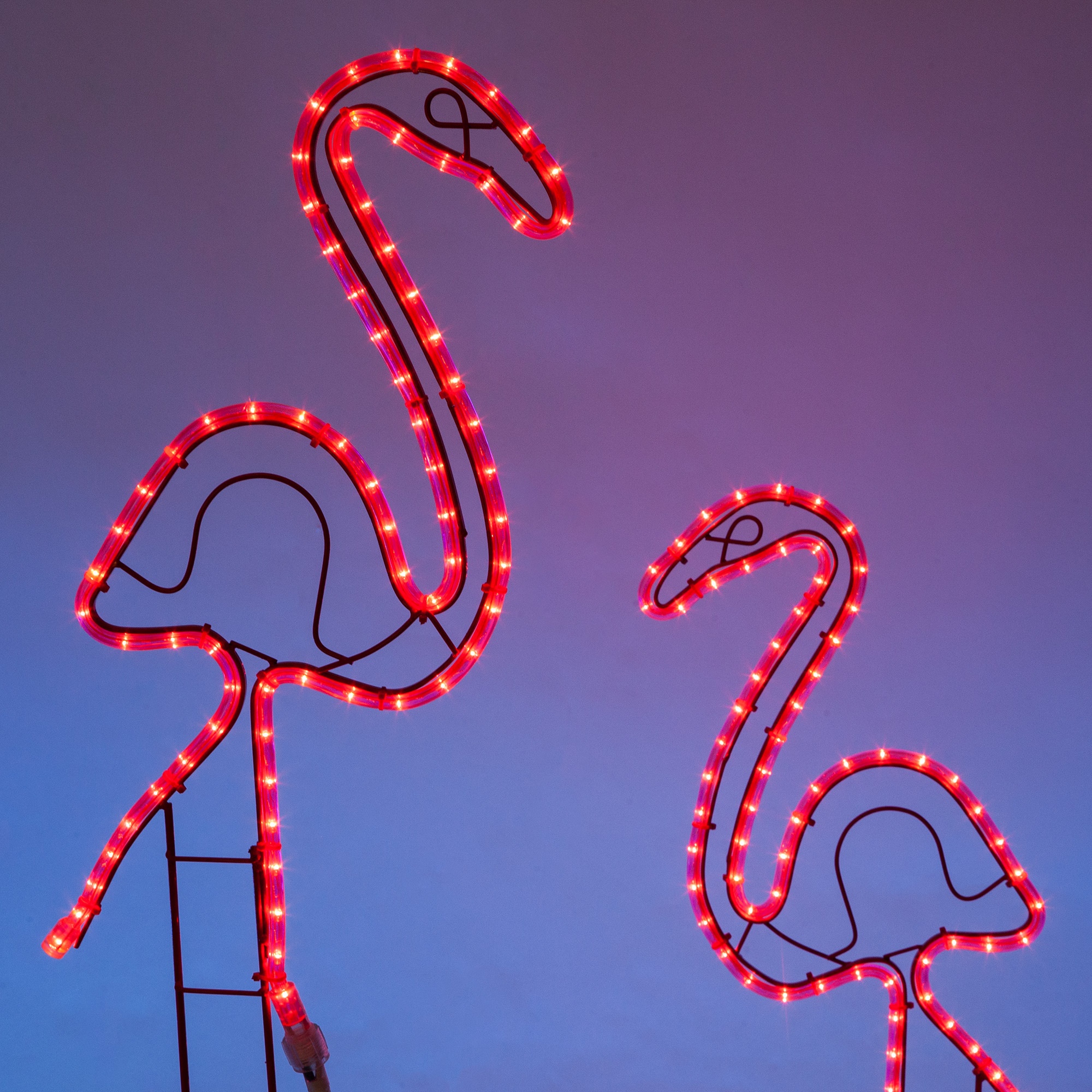 Flamingo Outdoor Decoration, Pink Lights