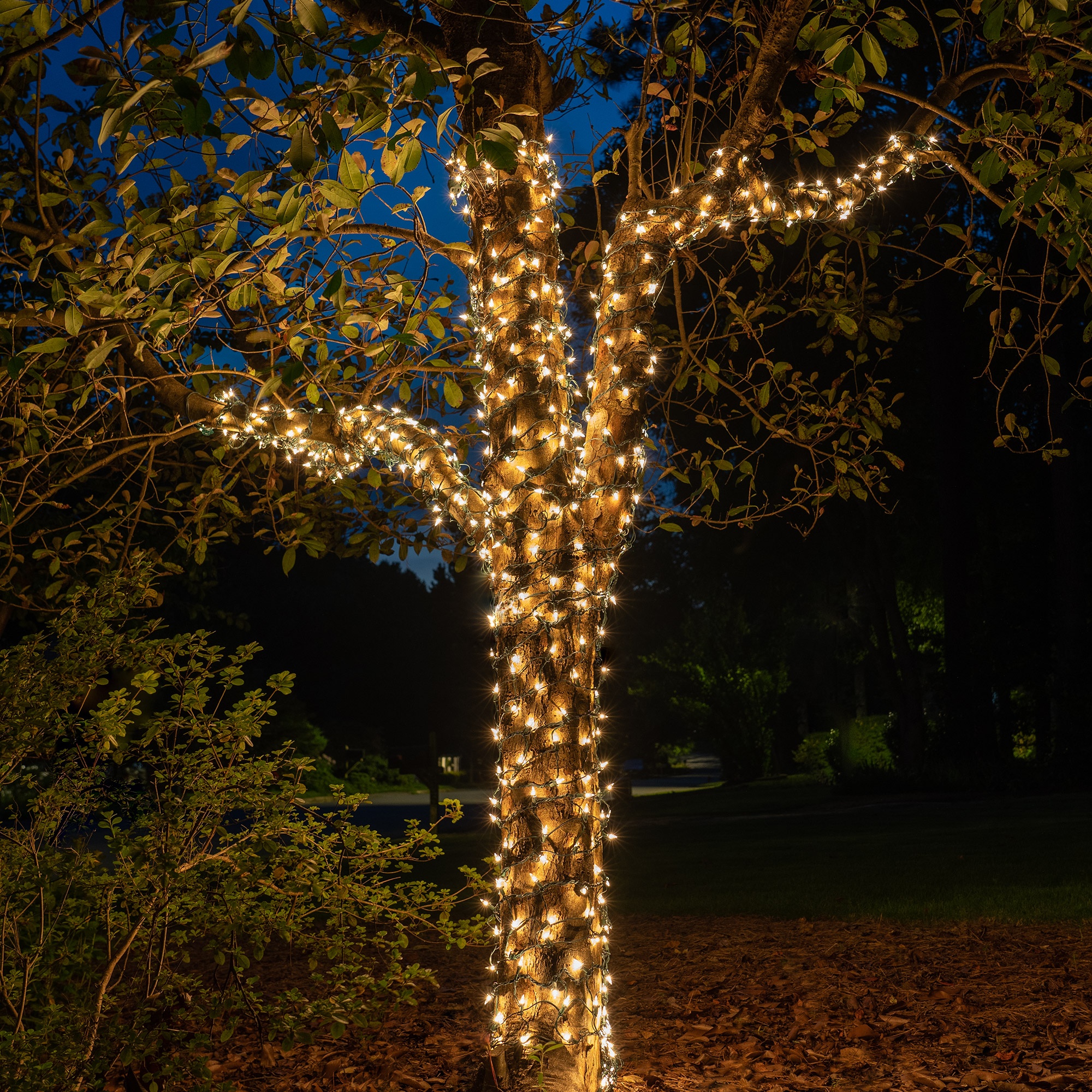 Christmas Net Lights 6" W x 15' H Trunk Wrap 150 Clear Lights