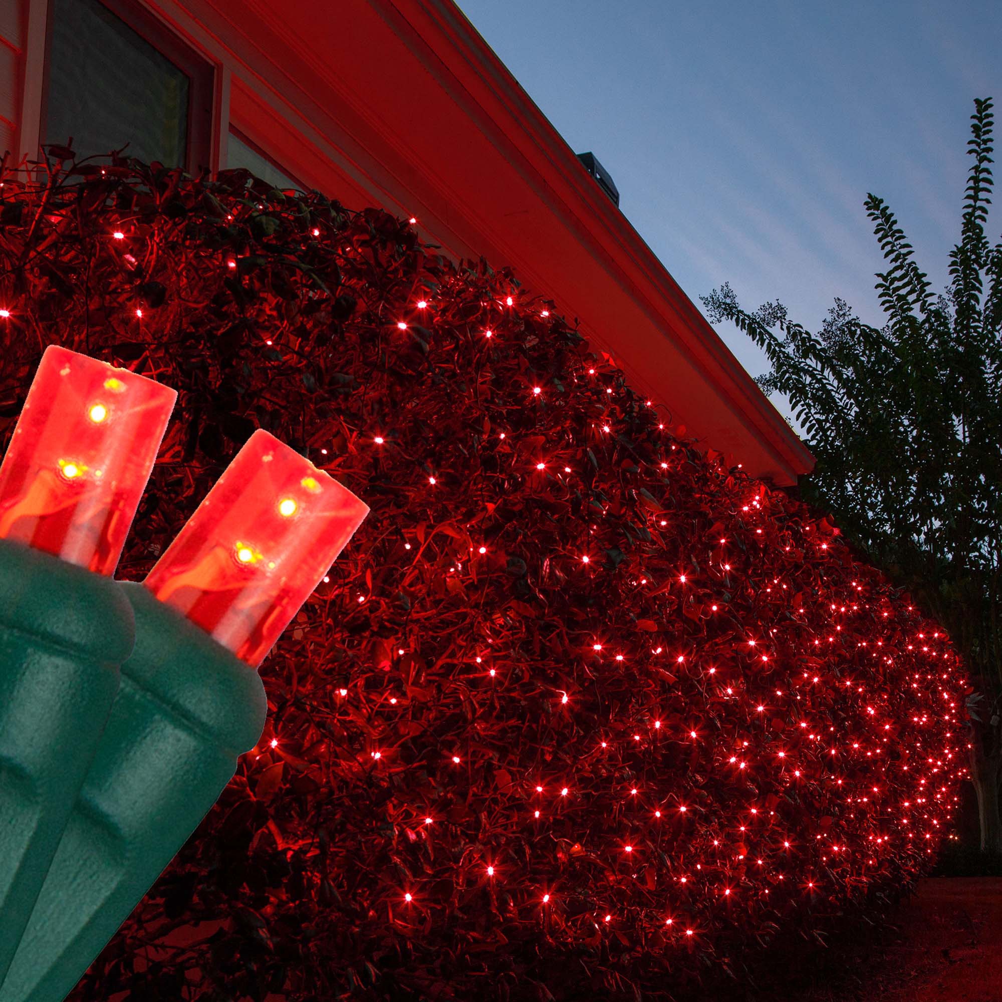 Green And Red Net Lights - yupzmlt