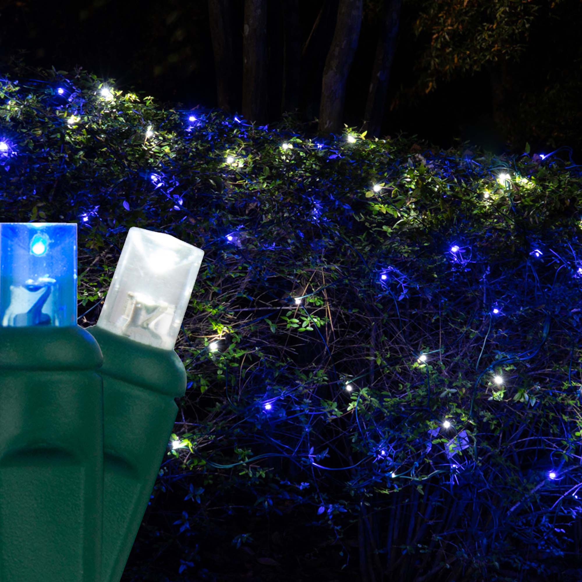 5mm Blue, Cool White LED Net Lights, Green Wire