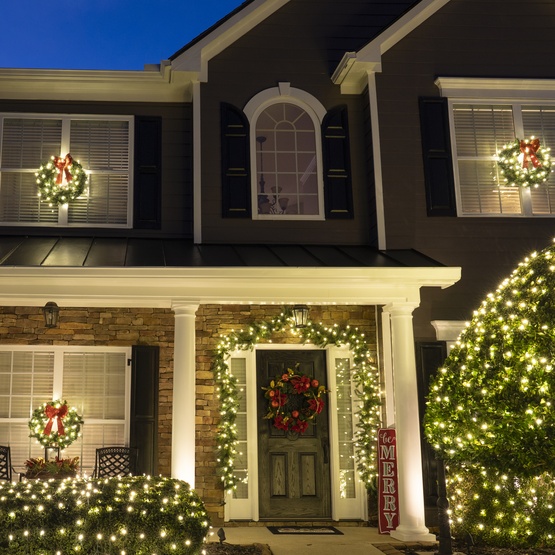 24" Pre-lit Commercial Sequoia Fir LED Christmas Wreath, 50 Warm White Lights