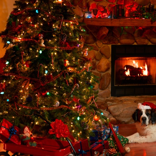 C7 Christmas Light Bulb C7 Green Christmas Light Bulbs, Opaque