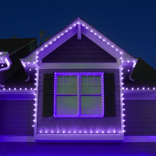 Kringle Traditions TM C9 Purple LED Christmas Light Bulbs