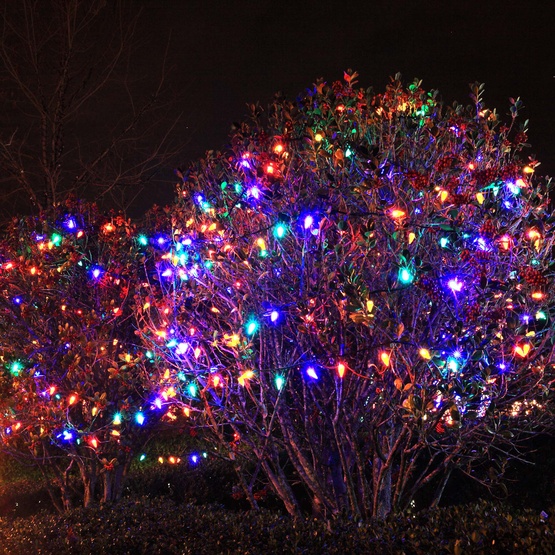 Kringle Traditions TM C9 120V Dimmable Multicolor LED Christmas Light Bulbs