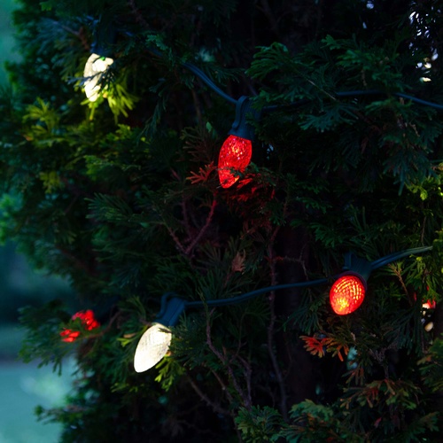 Kringle Traditions TM C7 Red LED Christmas Light Bulbs