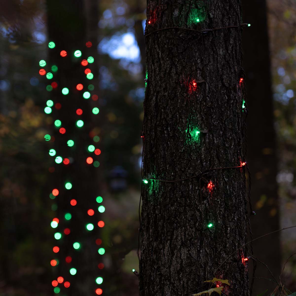 LED Net Lights - StretchNet Pro 20