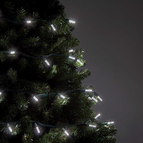 70 M5 Cool White LED Christmas Lights, 4" Spacing